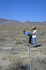 Ecological Surveys of Naval Air Station Fallon, Nevada